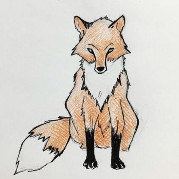 Video- CHARACTER DESIGN & FOX DRAWING