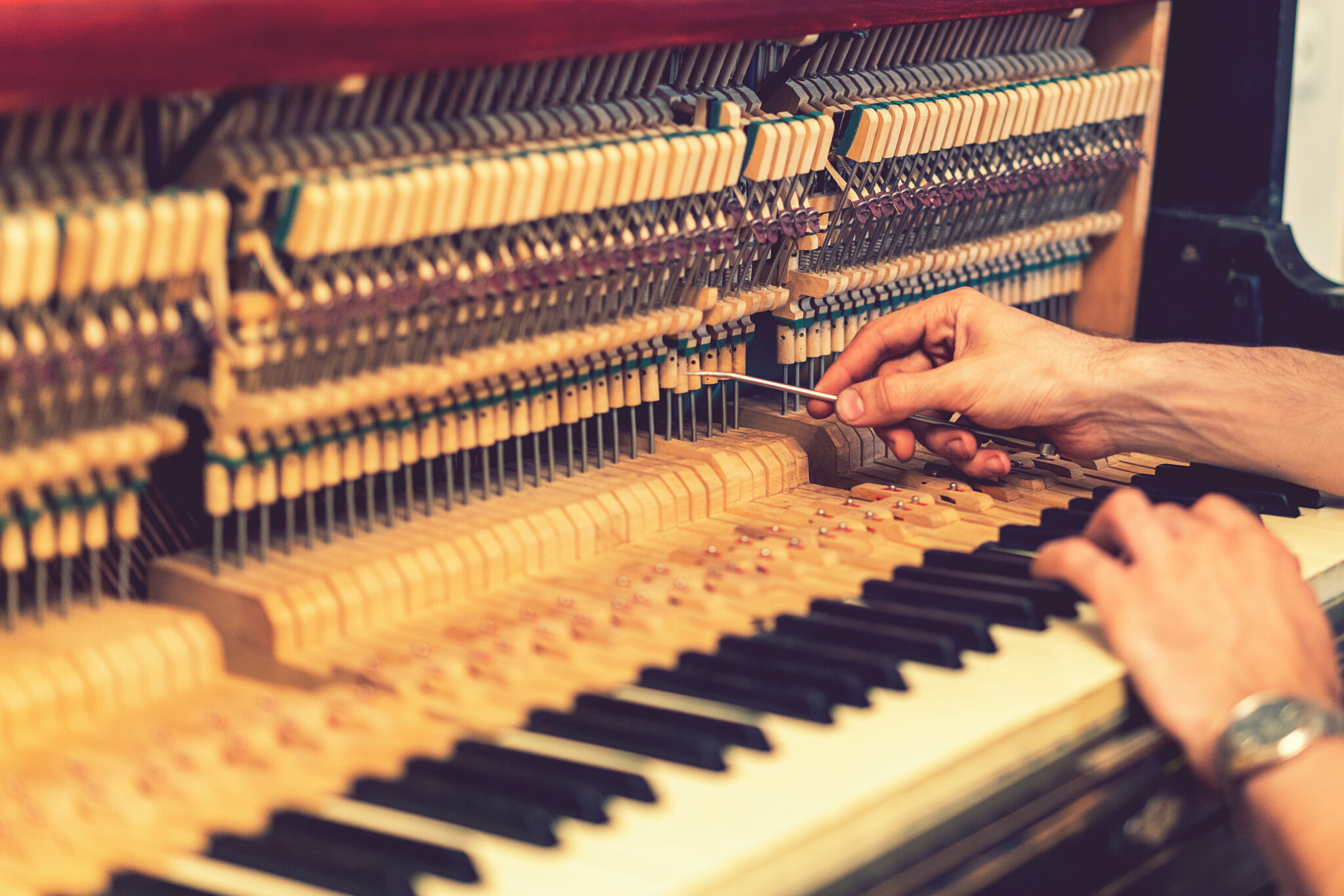 Piano Tuning Services