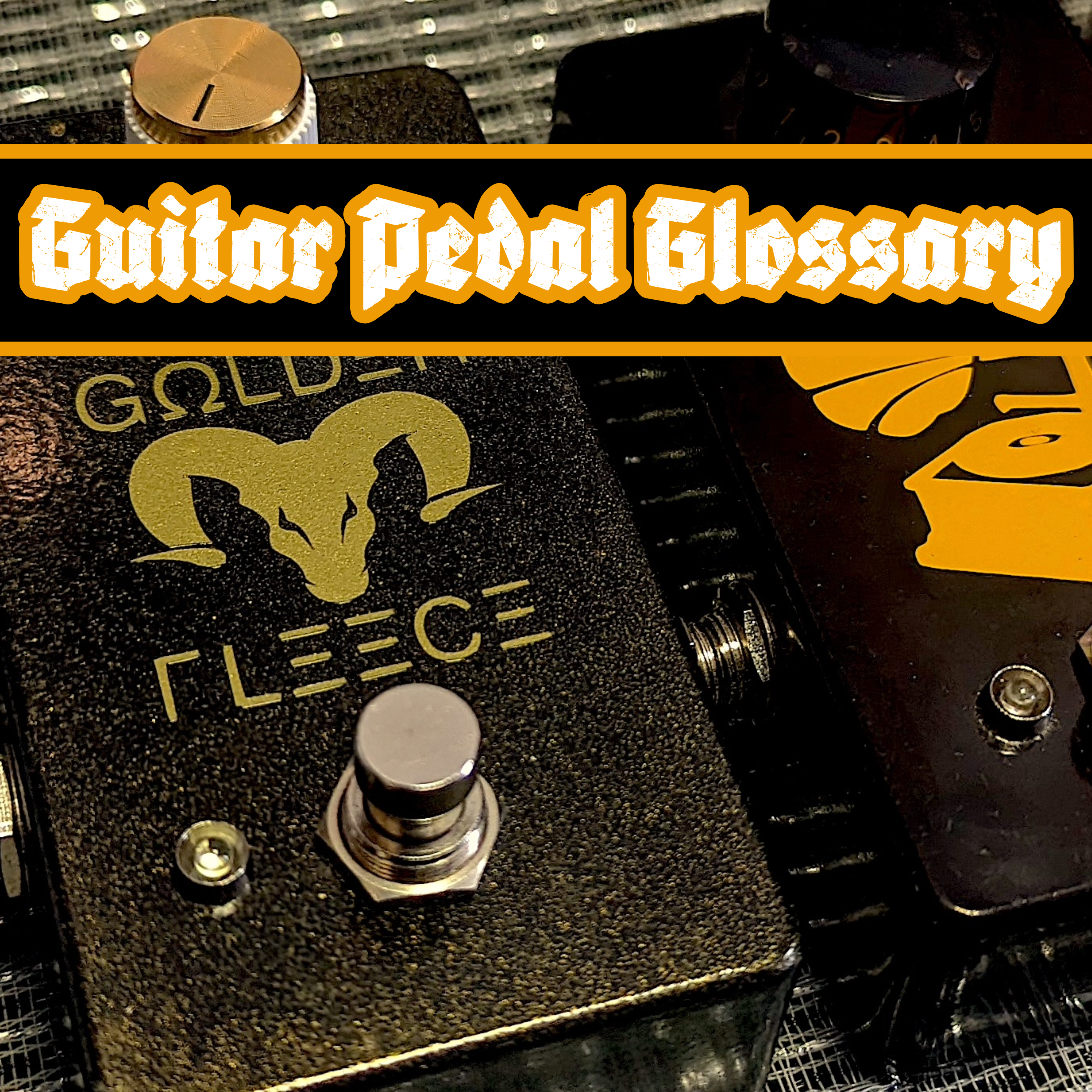 Songbirds Glossary Guitar Pedals
